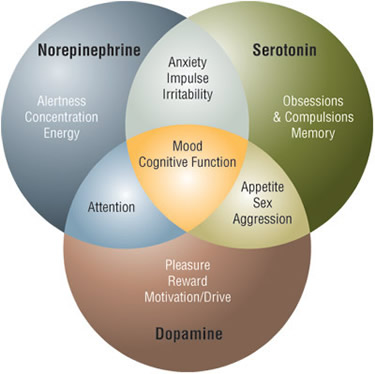 Neurotransmitters dysfunction