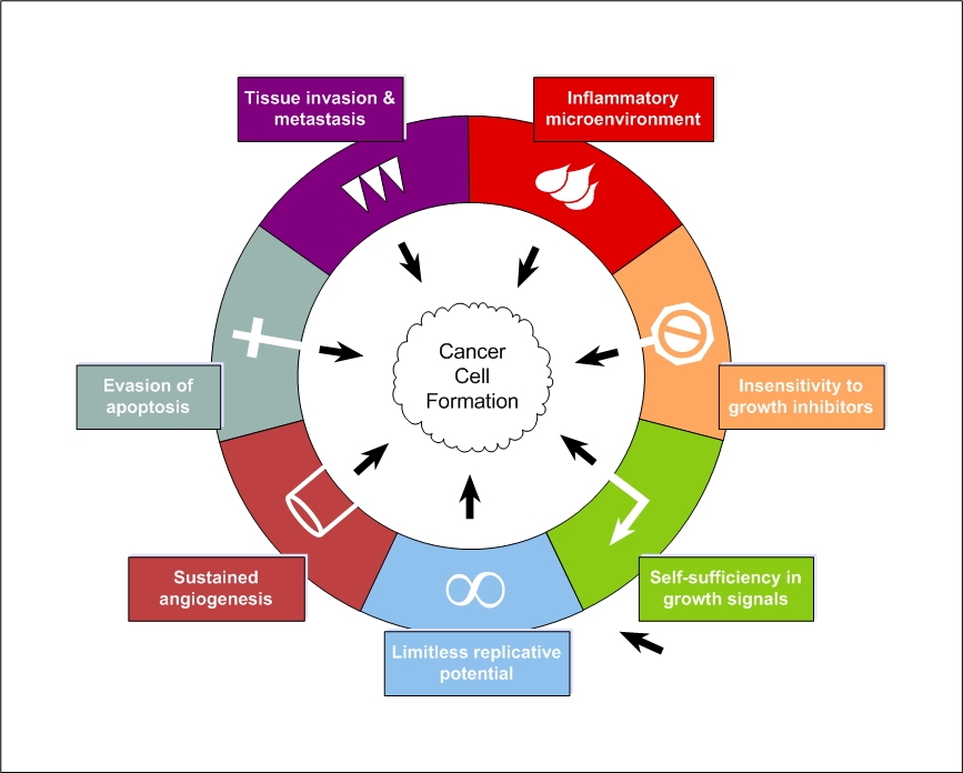 Integrative cancer