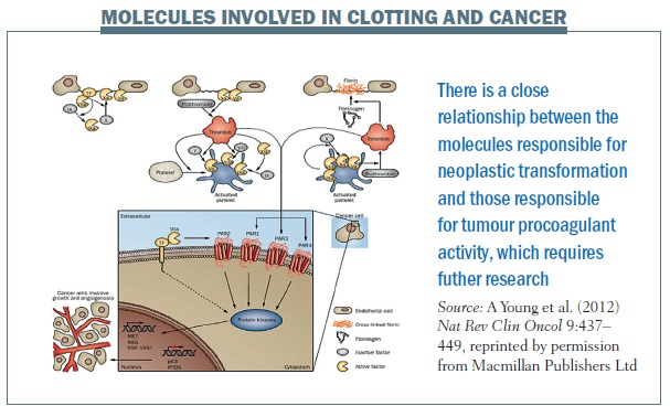 molecules involved in clotting and cancer