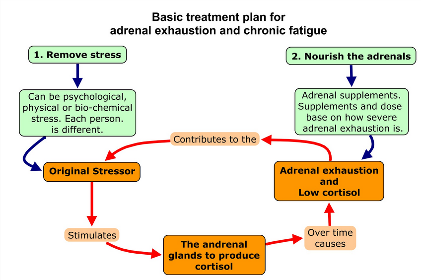 Adrenal fatigue 