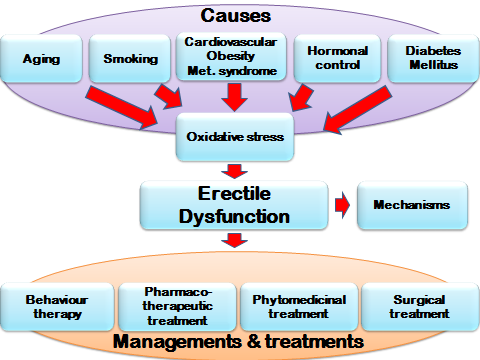 Erectile Dysfunction