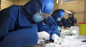 Research Findings on alcohol consumption and cancers