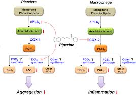What are the functions of COX Enzyme inhibitors