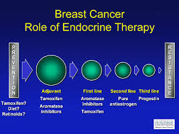 Applying Endocrine Therapy for Breast Cancer Treatment