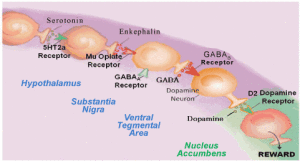 Reward Deficieny syndrome