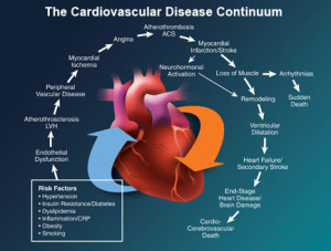 The Known Dangers of Cardiovascular disease