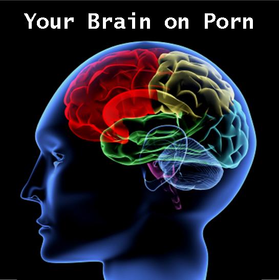 Amygdala effects