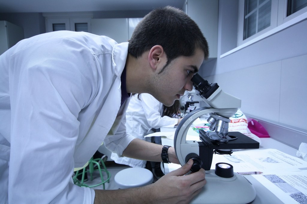 stem cell medication
