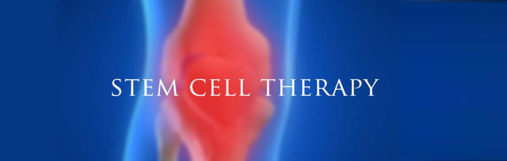stem cell research