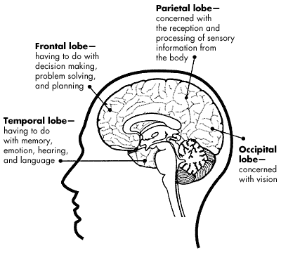 Ending brain damage
