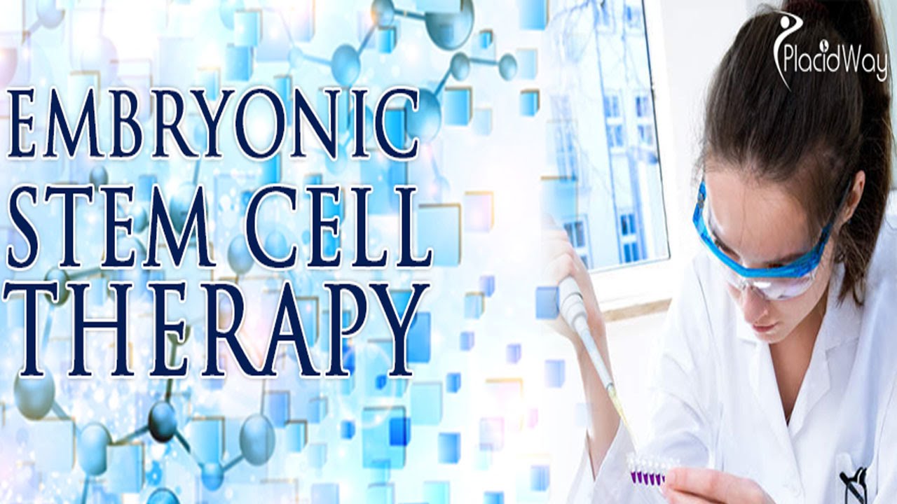 embryonic stem cell